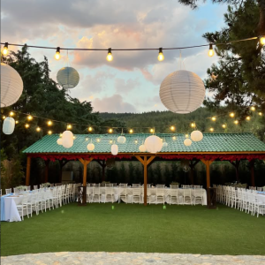 Ahşap Pergole / Geniş Alan Gölgelik Sistem - 7458